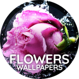 com.goodwallpapers.flowers_4k