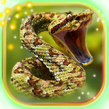 com.jotunheijm505.snakesoundslivewallpaper