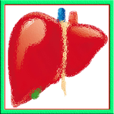 sekandari.app.kabedd