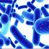 com.vaba.vapishgiriash