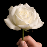 com.micoo.condolences.symphathy.messages