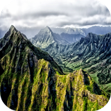 com.leafgreen.nature