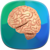 com.phoinix_books_h.anatomemagzvaasab