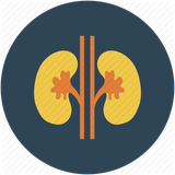 net.berke.app.kollie.sal