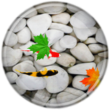 com.aliheidari020.wallpapermahi