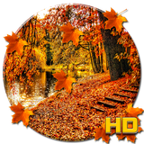 com.apusapps.livewallpaper.fallseason_928d12fd