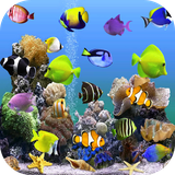 aquariumvideowallpaper.avs.com