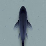 com.galbro.catalone2