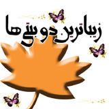 saber.robaee.dobeyti