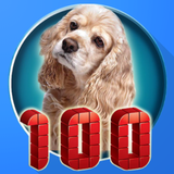 com.kindergarten.AnimalsMegamix