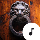 com.robinvanrodeman.doorknock