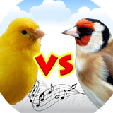 com.canarygoldfinch.chantfree