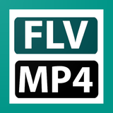 grant.flv.to.mp4