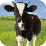 com.andromo.dev230101.app214349