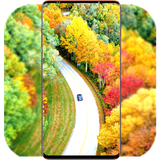 com.AutumnWallpaper.naturewallpaper.autumnroadwallpaper.autumn