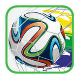 org.fajoiodo.copamundialbrasil2014