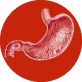 com.ahmad_ht.zakhmemede