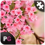 com.persiagraph.puzzroid2016.spring