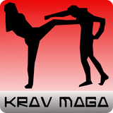 top.appslaborator.learn.krav.maga