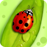 com.ladybug.wallpaper.ladybugbestwallpaper