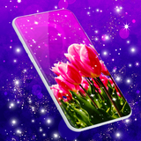 live.wallpapers.sounds.your.name.lwphdhq