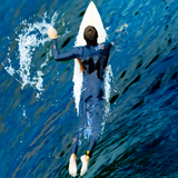 nl.towinsurf.surfkingkong