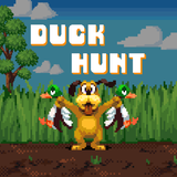 com.web30india.DuckHunt