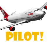 com.beepbeepgo.pilot