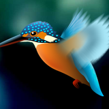 kingfisher_rooty_pict_free.livewallpaper