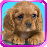 pl.infinzmedia.dogcapsfree
