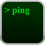 com.lipinic.ping