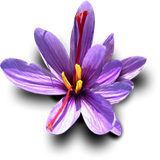 com.abed.aghdasigmail.com.torbat