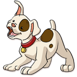 com.breeds.dog