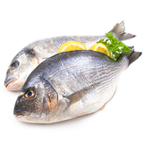 com.recipedroid.fish