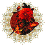 com.amir.towhid