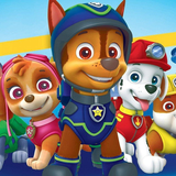 com.serenityz0.pawpatrol