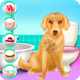 air.net.chicworld.cuteladylabradorcaring
