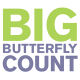 org.bigbutterflycount.app