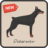 com.nehdevelopers.dobermandog