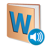 com.VoiceDic.hamiddh