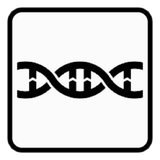 ir.olgohae.verasat.d