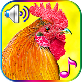 com.niceringtonesapps.funnyalarm