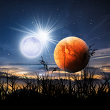 com.amaxlwps.fallingstarslivewallpaper