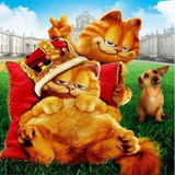 ir.ir.garfieldd