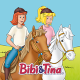 de.blueocean.bibi.und.tina.reiterferien.pferde.horse.abenteuer.pferd.reiten.pflegen.spielen