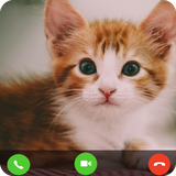 catfakevideocall.catvideocall.fakevideocallcat