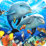 com.dolphin.wallpaper.dolphinbestwallpaper