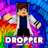 pol.droppermap.minecraft