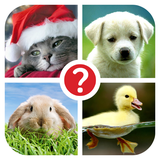com.iPrado.GuessTheWord