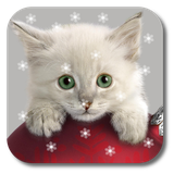 com.kklivewallpaper.xmascat
